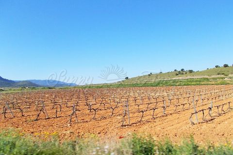Farm hus i Yecla, Murcia, Yecla - € 410.000 | Ref: SF0064 - foto 21